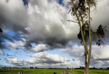 开云体育:西甲第9輪巴塞羅那5-2皇家貝蒂斯 格子傳射建功梅西替補雙響.