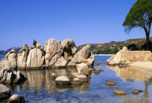 “冠军体育课”:梁靖崑、陈熠用“小乒乓”传递“大理念”2025-04-01.